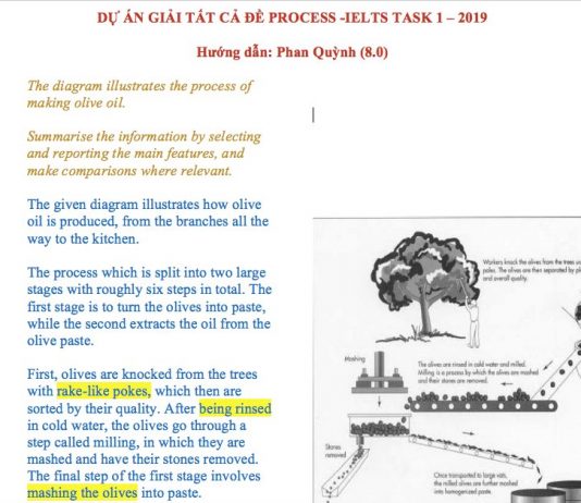 Bài mẫu Band 8.0 IELTS Writing Task 1 – Dạng bài Process