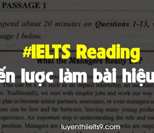 IELTS Reading cho người mới bắt đầu