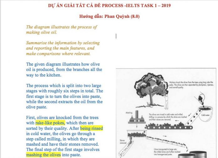 huong-dan-viet-writing-task-1-dang-progress-aland-ielts-1