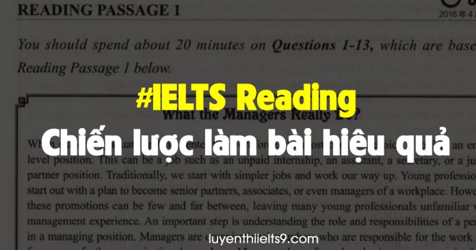 huong-dan-hoc-ielts-reading-cho-nguoi-moi-bat-dau-luyenthiielts9 IELTS Reading cho người mới bắt đầu