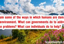 Bài mẫu IELTS Writing Task 2 topic Environment 1