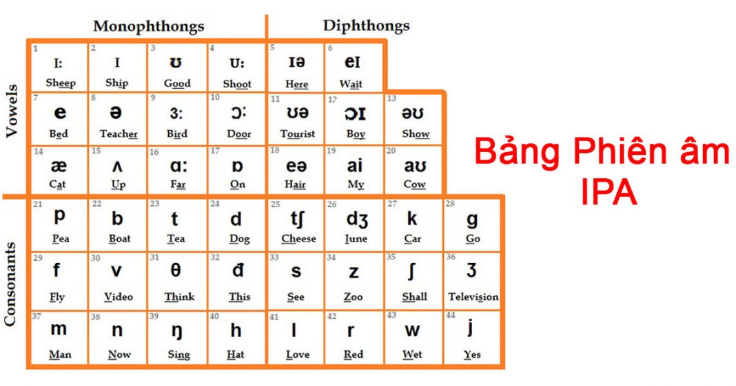 Bảng phiên âm tiếng Anh IPA là gì và cách phát âm chuẩn Mỹ | Luyện thi ...