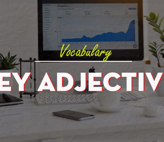 Key adjectives – Tổng hợp cụm tính từ hay xuất hiện trong bài thi IELTS