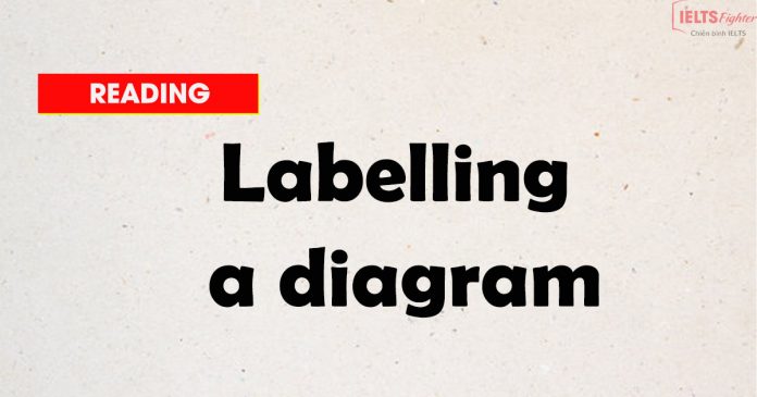 ielts-reading-labelling-a-diagram