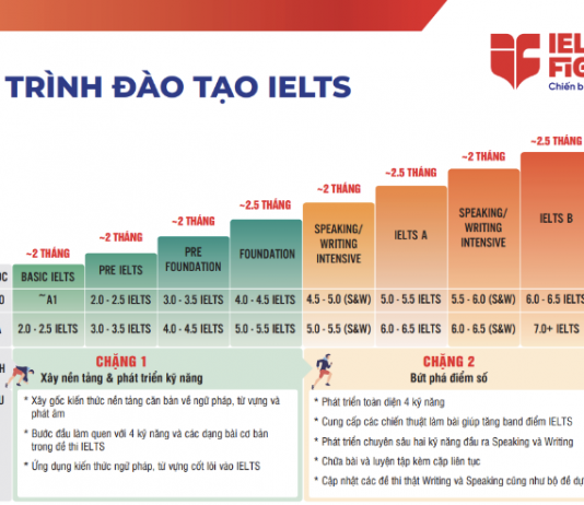 Lộ trình học IELTS dành cho người đi làm